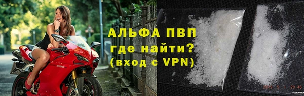 эйфоретик Арсеньев